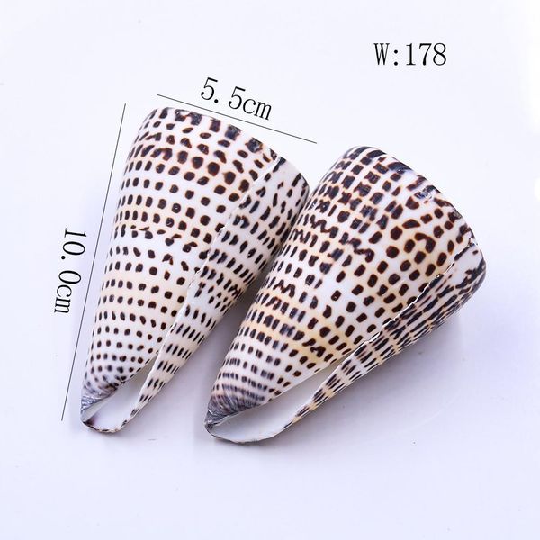 

natural conch corn buckskin conch seashells specimen nautical home decor collectibles beach wedding aquarium landscape decor h jllamn