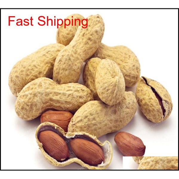 

10 pcs arachis hypogaea seeds red black organic rare heirloom peanut plant seeds organic vegetable qyleij packing2010
