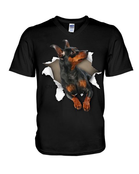 

sport men t shirt miniature pinscher - torn(16) women tshirts