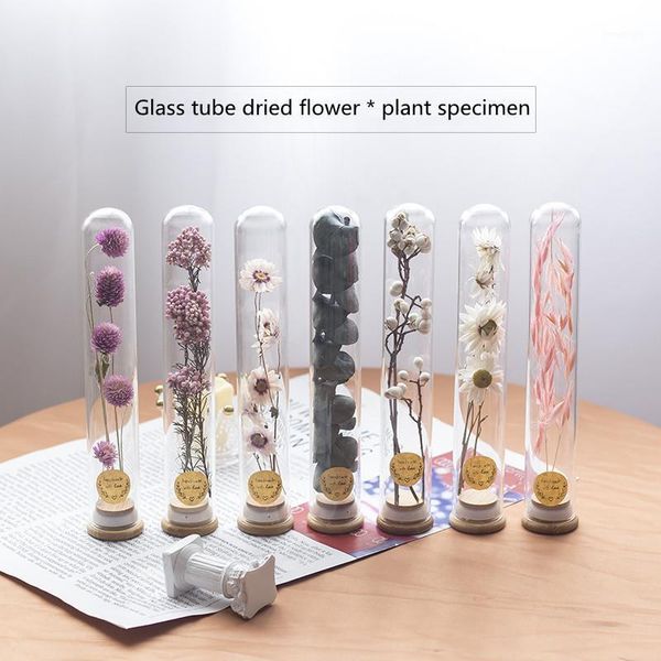 

dried flower glass test tube bouquet immortal flower plant specimen decoration decoration wishing vase birthday gift1