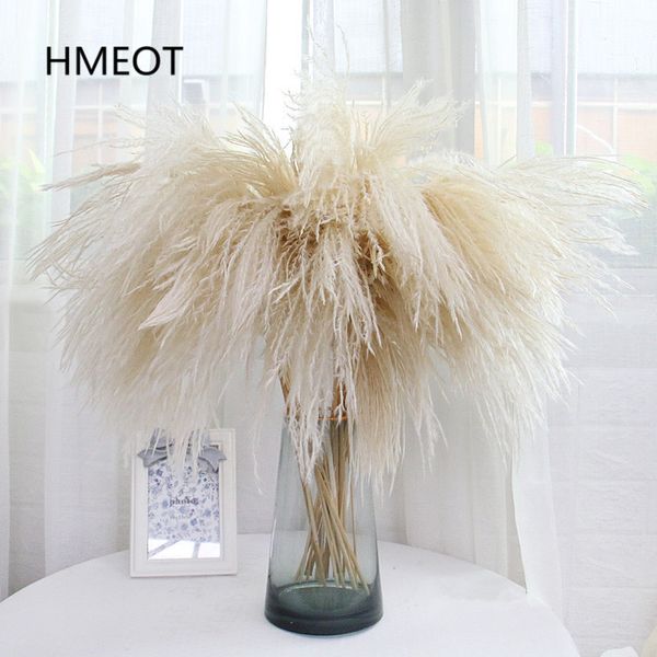 Pampas Grass Home Decor Reed Frusta Fiore essiccato Margherita Composizione di nozze Piante di Natale Materiale Fiori artificiali 25 pz / lotto 201127