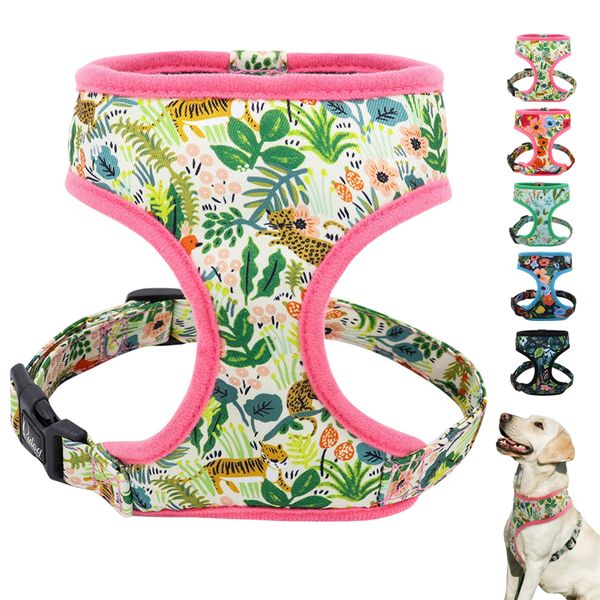 

chihuahua, french bulldog, adjustable, dog, cat, dog vest