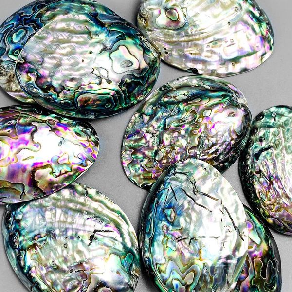 

2pcs natural abalone shell pendants charms single side mother of pearl shell diy gifts pendants for jewelry making accessories h jllown