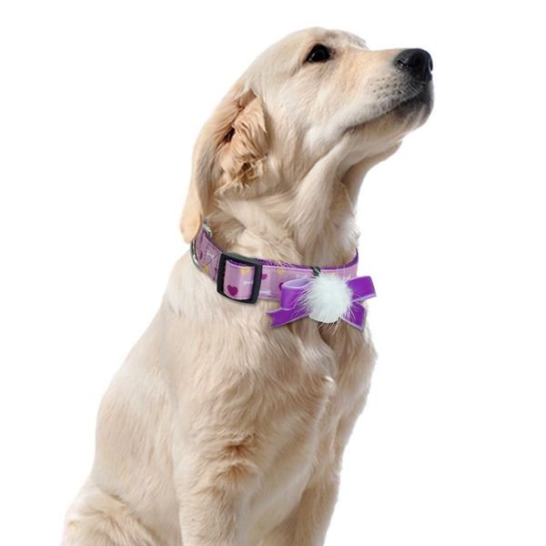 

fashion pet collar adjustable nylon dog collar for small medium large dogs chihuahua with cute bowt bbyigl