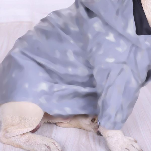

reflective pet coats vintage letter blossom dog jacket luminous lovely puppy jackets for chihuahua bulldog bichon schnauzer