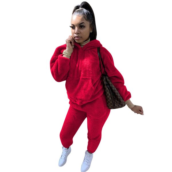 

solid color long sleeve hoodies pants clothing sets autumn winter thick womens two piece suits chÃ¡ndal de las mujeres, White