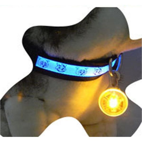 

pet led light pendant bell dog cat waterproof dog illuminated collar safety night walking lights dog pendants fla wmtcjc hx_pack