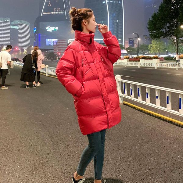 

wild duck feather winter zipper coat