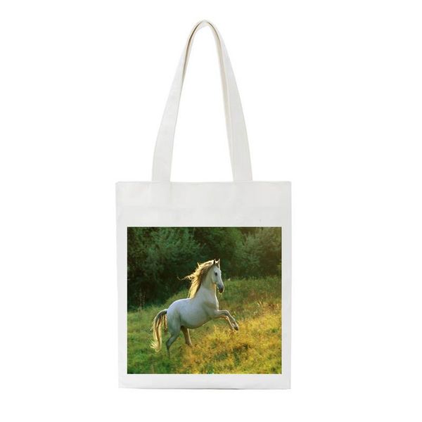 

sccfmm fashion women tote bag lady shoulder beach canvas handbag custom horse print shopper bag crossbody for female student