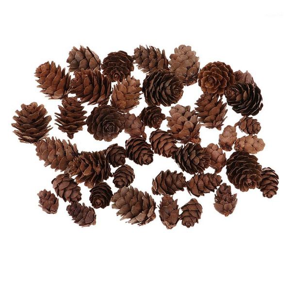 

50 pieces assorted size natural pine cones for christmas ornament decoration1