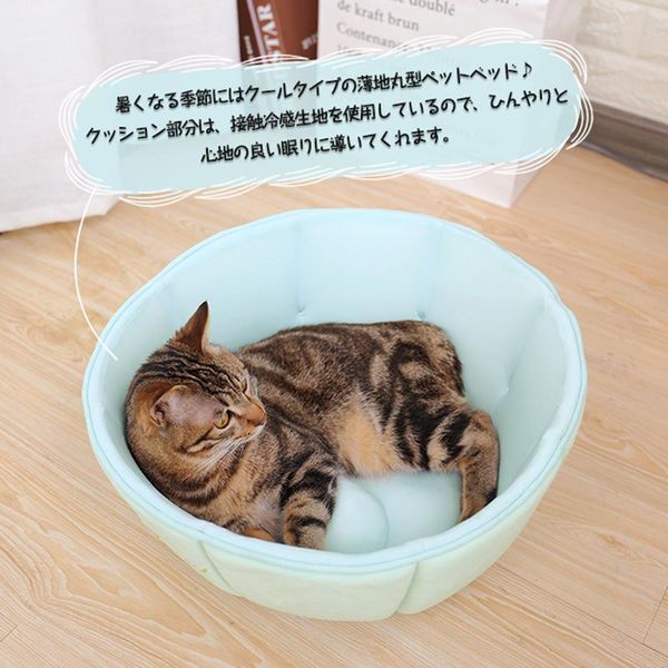 

cat beds & furniture summer cute pet bed bowl shape soft cooling dog house breathable cushion 3 colors removable mats non-slip bottom