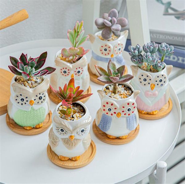 Vasi da fiori creativi a forma di gufo in ceramica Nuovo vaso da fiori da scrivania in ceramica Vaso da fiori succulente dal design carino