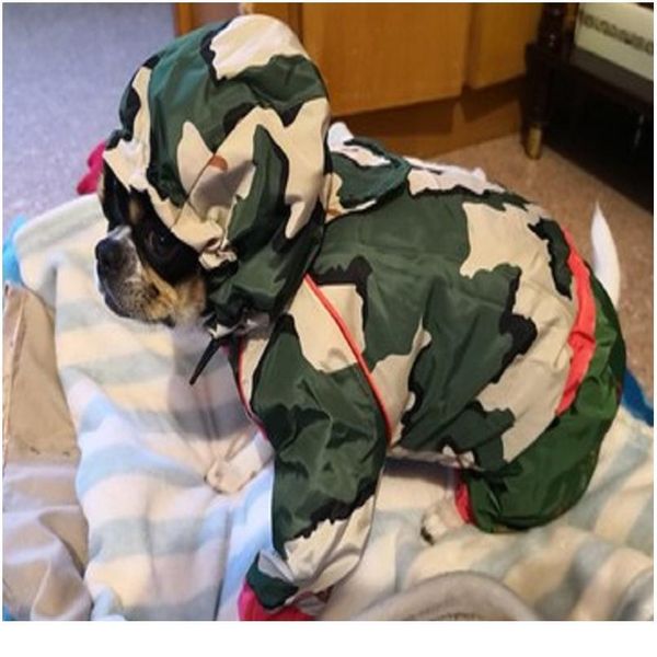 

pet big dog raincoat waterproof clothes for small large dogs jumpsuit breathable rain coat labrador chihuahua p jllxsw