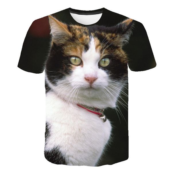 

summer 3d print animal newst kitten print cat plain 3d design male 3d print shirts humor hentai graphic men clothing