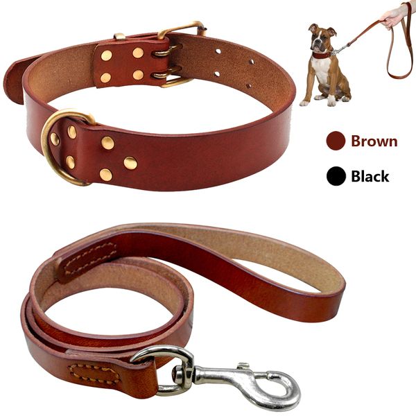 

leather collar, large and medium dog belt, matador bulldog s m l