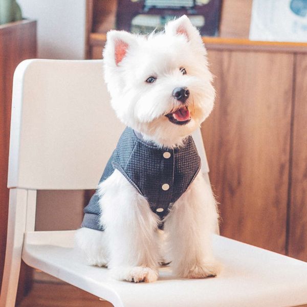 

ispet pet autumn teddy bear dog fadou cloth cute coat winter