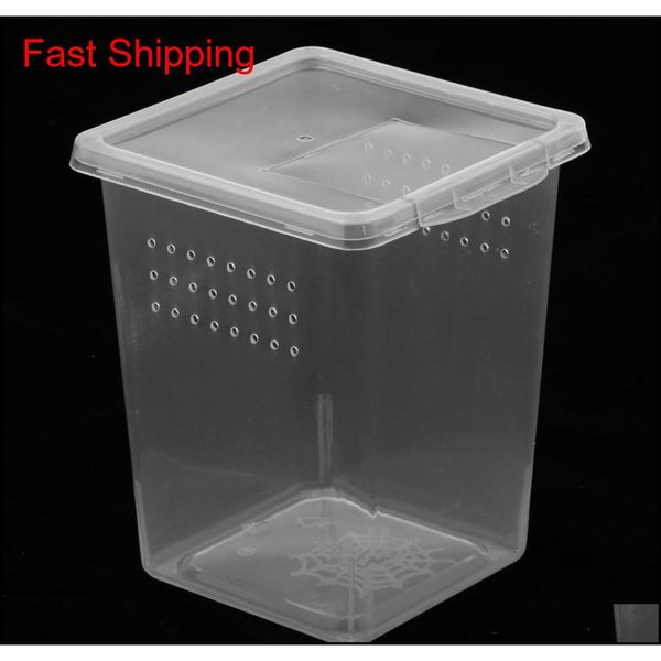 

10x clear plastic insect habitat feeding box case conta qyltgh homes2011