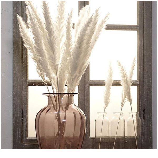 

7pcs bulrush natural dried flowers small pampas grass phragmites diy artificial flowers plants for decor home wedding de jlleno