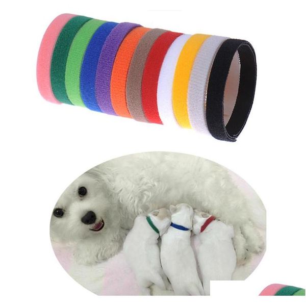 

12pcs puppy id identification collars adjustable nylon small pet dog kitten necklace whelping id puppy collars b25 paidb