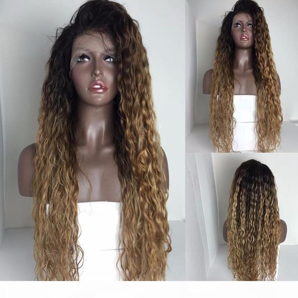 

glueless full front lace wigs brazilian hair ombre color long human hair raw remy water wave, Black;brown