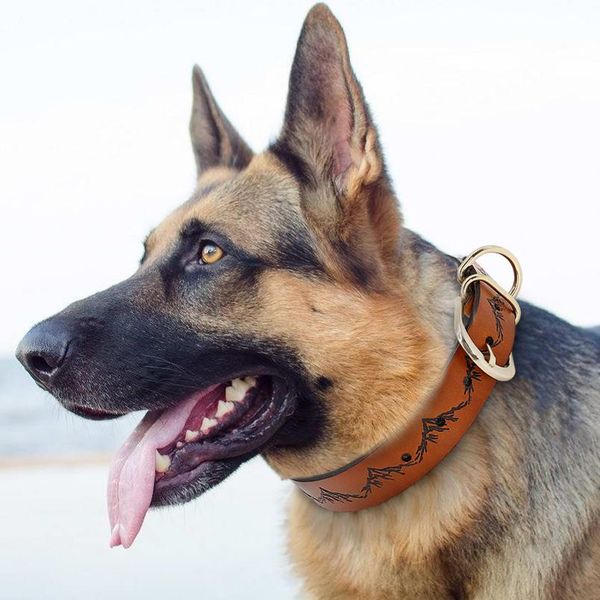 

dog collar pet leather dog collars adjustable for medium large dogs pitbull german shepherd k9 pet sqcref