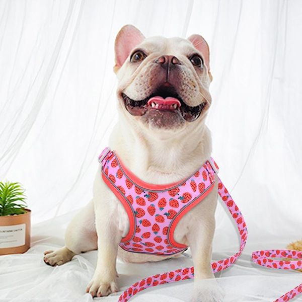 

new fashion nylon dog harness leash set reflective fruit printed dog vest leash for medium large dogs french bulldog sqchhu