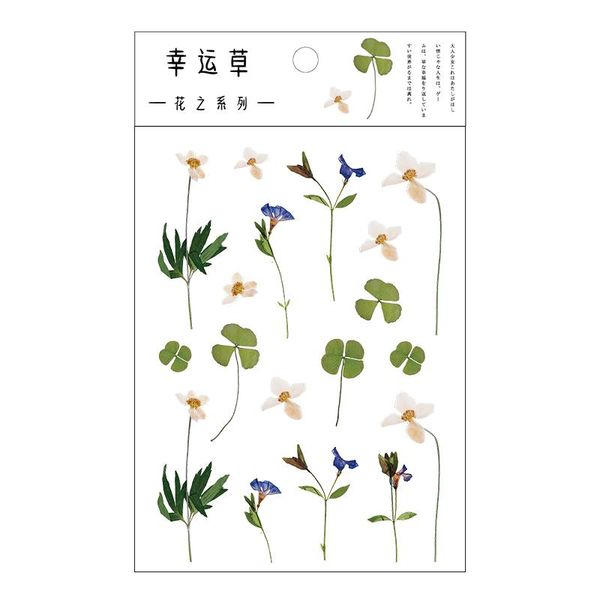 

tianzi 6 designs natural daisy clover japanese word sticker transparent decoration sticker flower leaf plant decoration sticker bbyavu