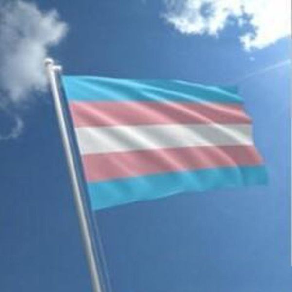 

rainbow flag 3x5ft 90x150cm lgbt flag banner polyester colorful rainbow flag outdoor decoration bisexual pansexual garden flags vt0721