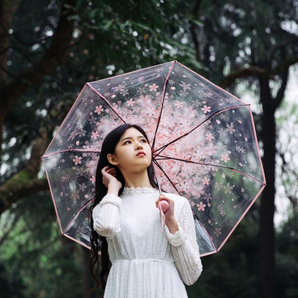 

три fold umbrella женщины прозрачный clear cherry blossom гриб apollo sakura складной зонт зонт дождь женщины зонтик jlljhm