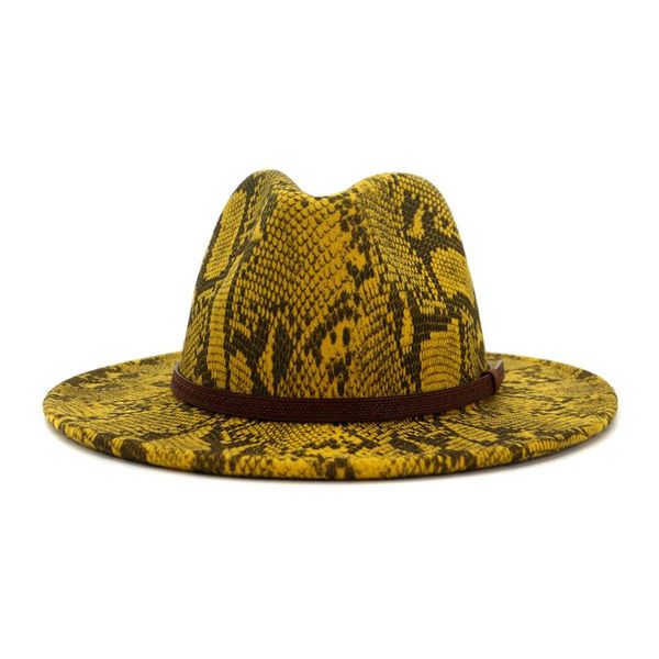 

wide brim hats arrival autumn winter fashion women men flat snakeskin pattern fedora wool felt jazz hat, Blue;gray