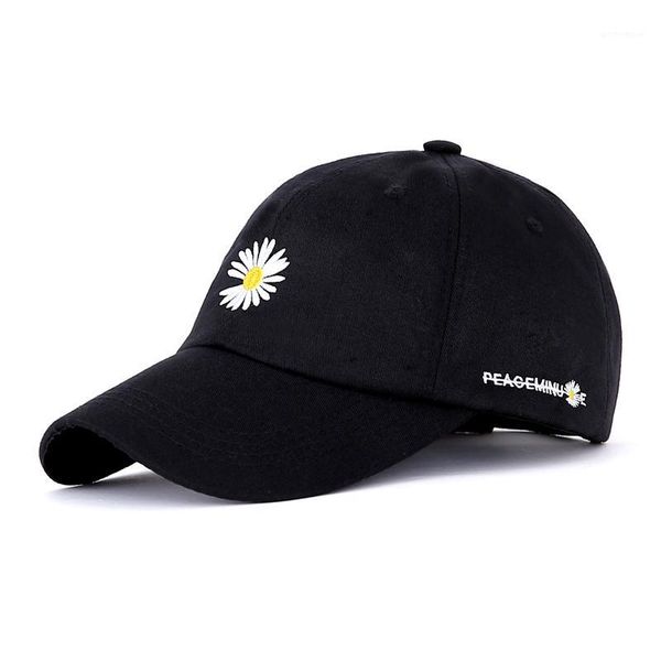 

wide brim hats women's baseball cap fashion outdoor embroidered hat1, Blue;gray