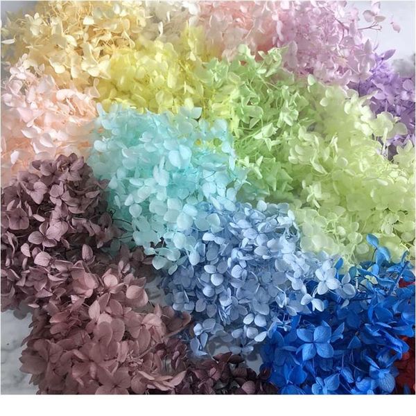 

4-4.5g/lot natural fresh preserved flowers dried hydrangea flower head for diy real eternal life flowers wmtghc