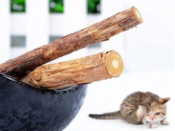 

5pcs cat cleaning teeth pure natural catnip pet cat molar toothpaste stick silvervine actinidia cat snacks bbyjhz warmslove