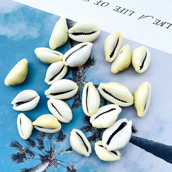 

20pcs 24 30mm natural shell conch beads decor sea shells diy jewelry accessories handmade necklace shells for jewelry making h jllcau