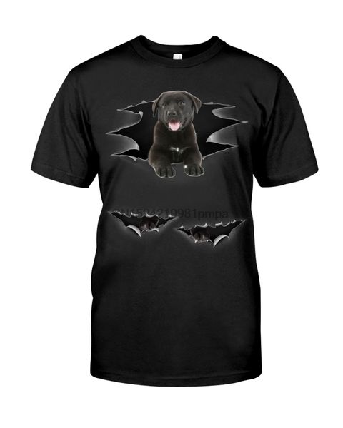 

sport men t shirt labrador retriever - torn 2(53) women tshirts