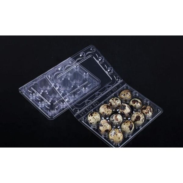 

wholwsale 12 holes creative quail egg containers plastic egg boxes d28mm/h39mm 1500pcs/lot fr jllcsw lucky2005