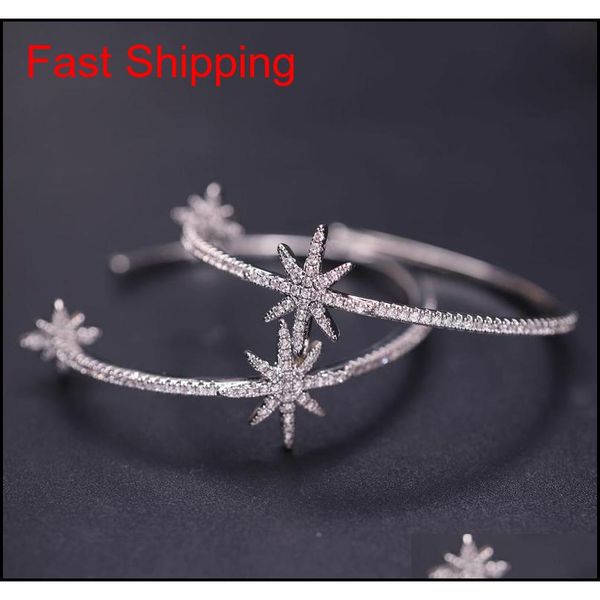 

luxury- shiny big round hoop earrings for women gold/sliver/black charm snowflake zircon earring star flowers ci qylxxx bdehome, Silver