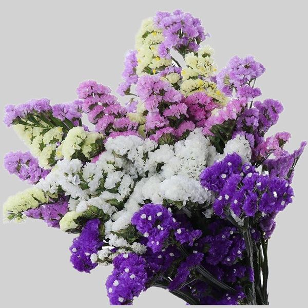 

decorative flowers & wreaths 60cm crystal grass natural fresh dried preserved forget me not flowers,real forever lover branch for home table