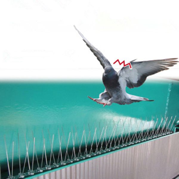 2,5 млн. Пластиковая птица и голубя Spikes Anti Bird Anti Pigeon Spike для избавления от голуби и пугающие птицы Pest Control Y200106