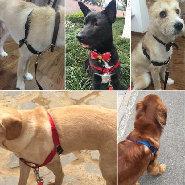 

no pull nylon dog harness adjustable pet dog harnesses vest for medium large dogs pitbull bulldog german shepherd s- wmtsmc