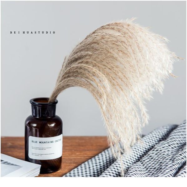 

natural dried pampas grass phragmites communis for wedding artificial flower bunch home decor diy craft dry flowers de jlllqo