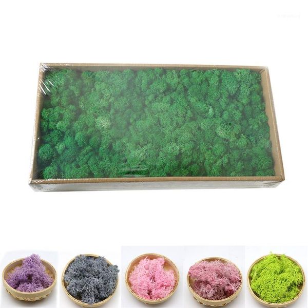 

decorative flowers & wreaths artificial plant immortal fake flower moss home living room wall micro landscape grass artificiais flowers1