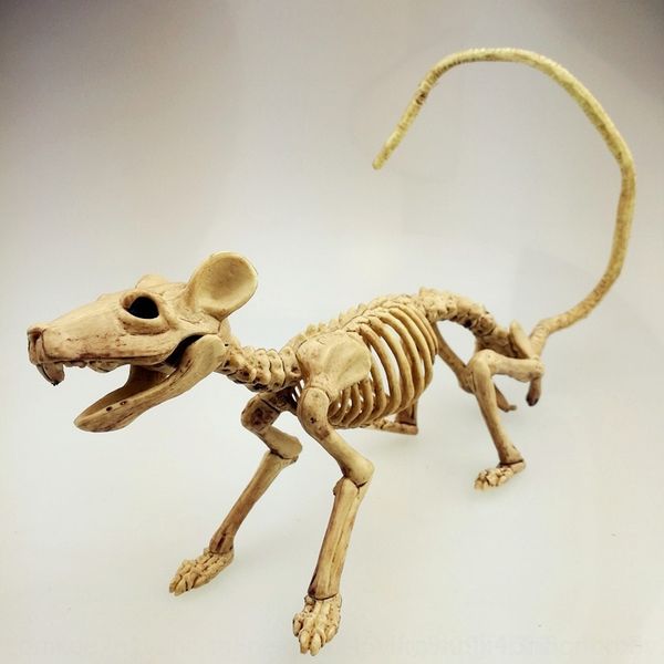 

rhen2 a new ofskeletons for a for model halloween halloween new ofskeletons modelmodel 2flax