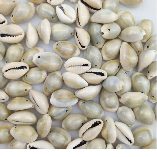 

happykiss 500g gray natural sea shells loose beads accessories diy holes conch ornament home fish tank decor phnom pe qylfzr