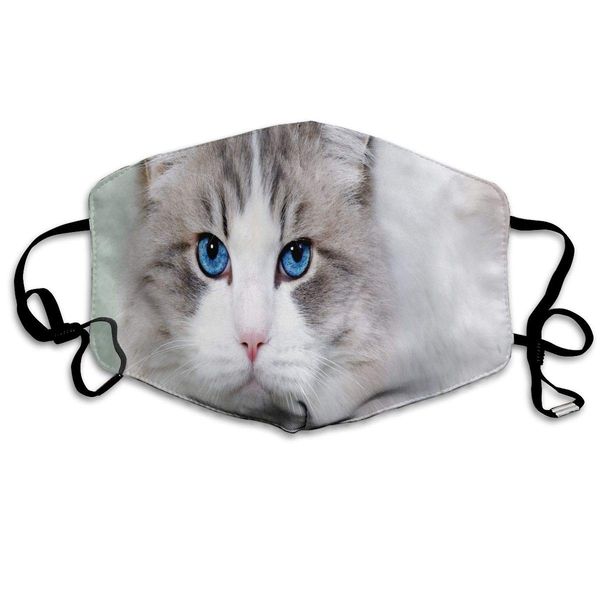 

face mask white cat with blue eyes cycling half face earloop face mask for women