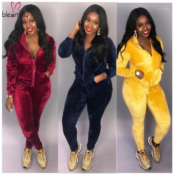 

autumn winter women velvet tracksuit hooded zipper + pant suits two piece set elegant outfits 3 color casual sportswear 20191, White