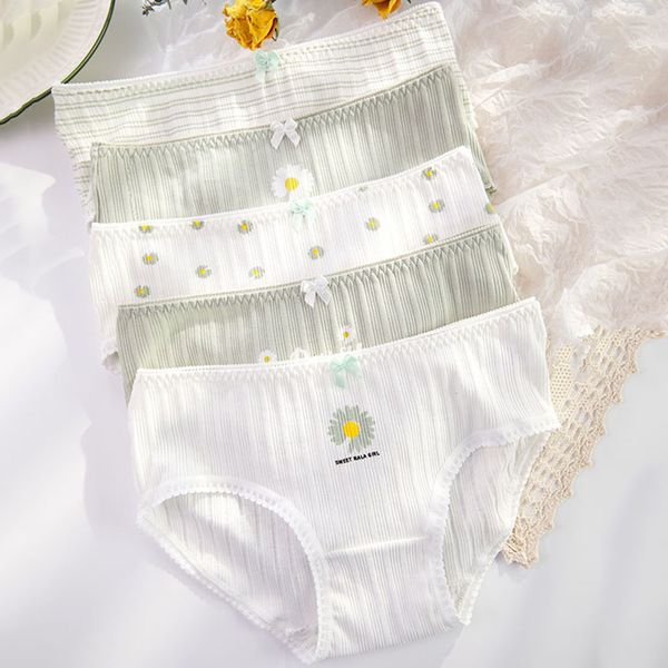 

minimalist women's thread cotton underwear japanese small daisy print fresh and cute girl mid-waist briefs, Black;pink