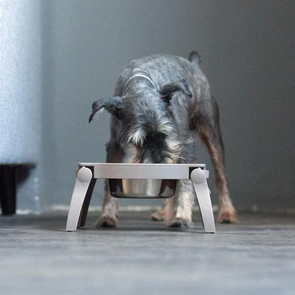 

stainless steel dog cat food bowl dishes foldable water puppy feeder for dogs cats non-slip drinking bowls pet supplie jllfki