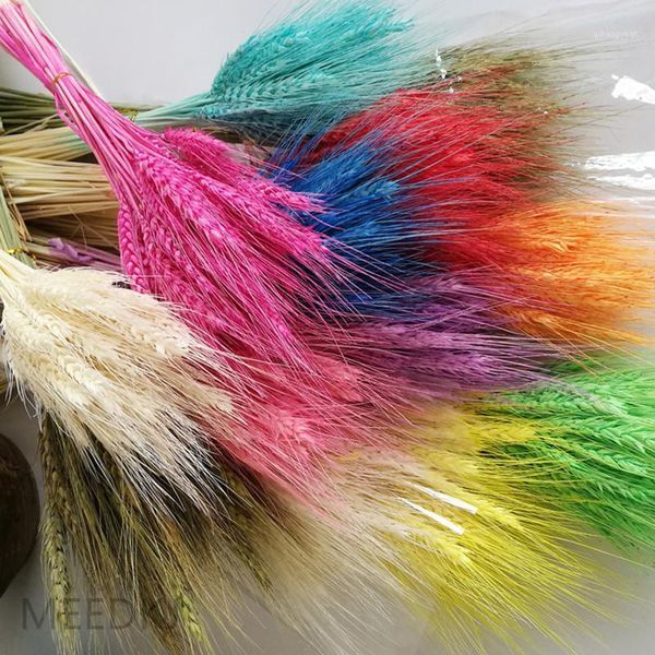 

50pcs wheat ear wheat plant dried flower home flower arrangement party home use1