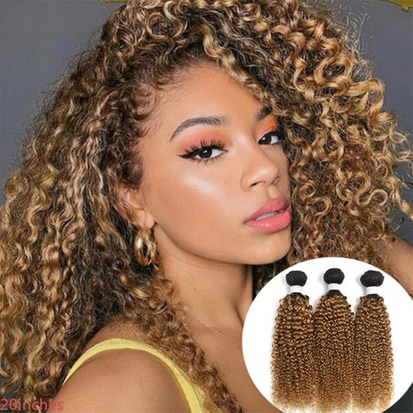 

honey brown hair weave kinky curly human hair bundles brazilian virgin hair wefts color 1b/27, Black